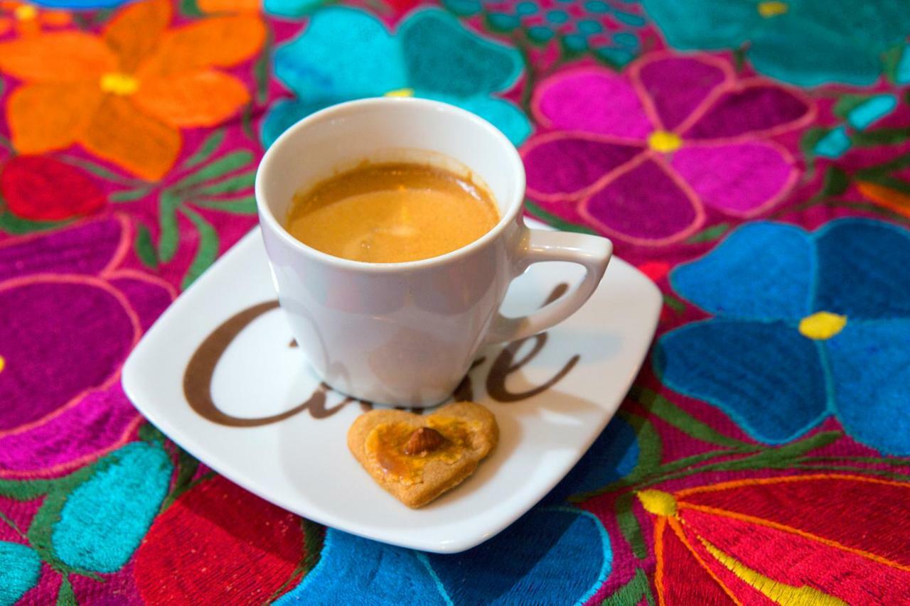 Suites Condesa مدينة مكسيكو المظهر الخارجي الصورة